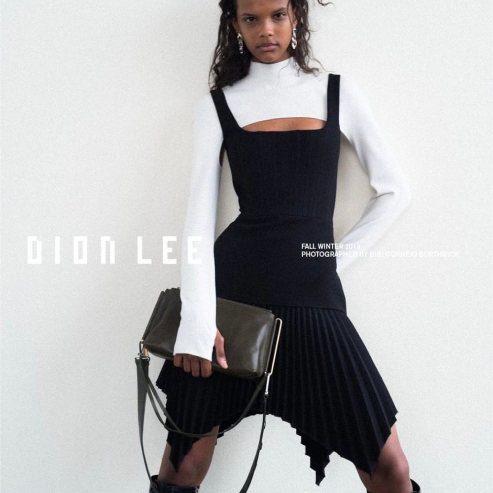 Dion Lee Pleated Asymmetrical Hem Dress
